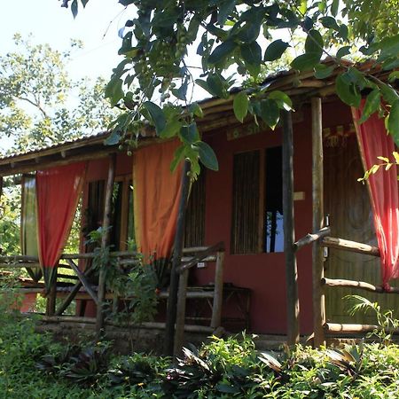 Galaxy Jungle Huts Hotell Agonda Eksteriør bilde