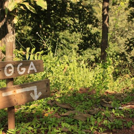 Galaxy Jungle Huts Hotell Agonda Eksteriør bilde