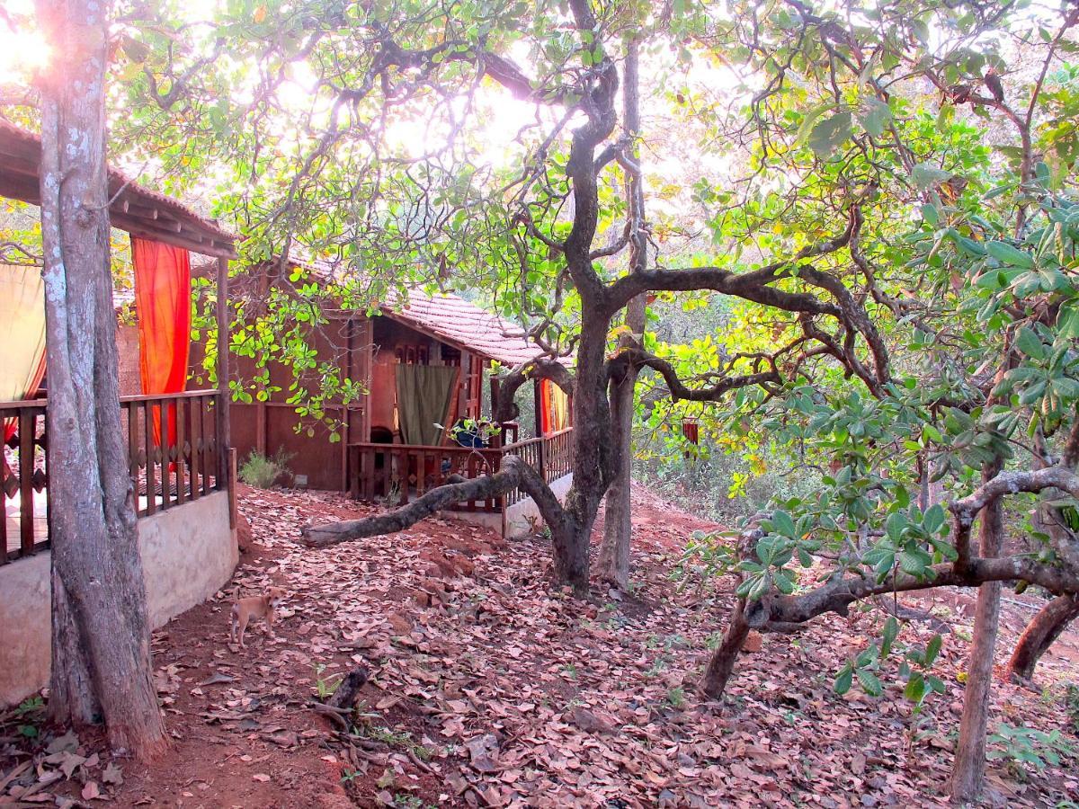 Galaxy Jungle Huts Hotell Agonda Eksteriør bilde