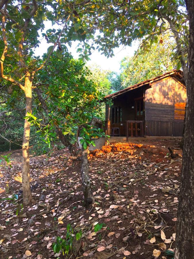 Galaxy Jungle Huts Hotell Agonda Eksteriør bilde
