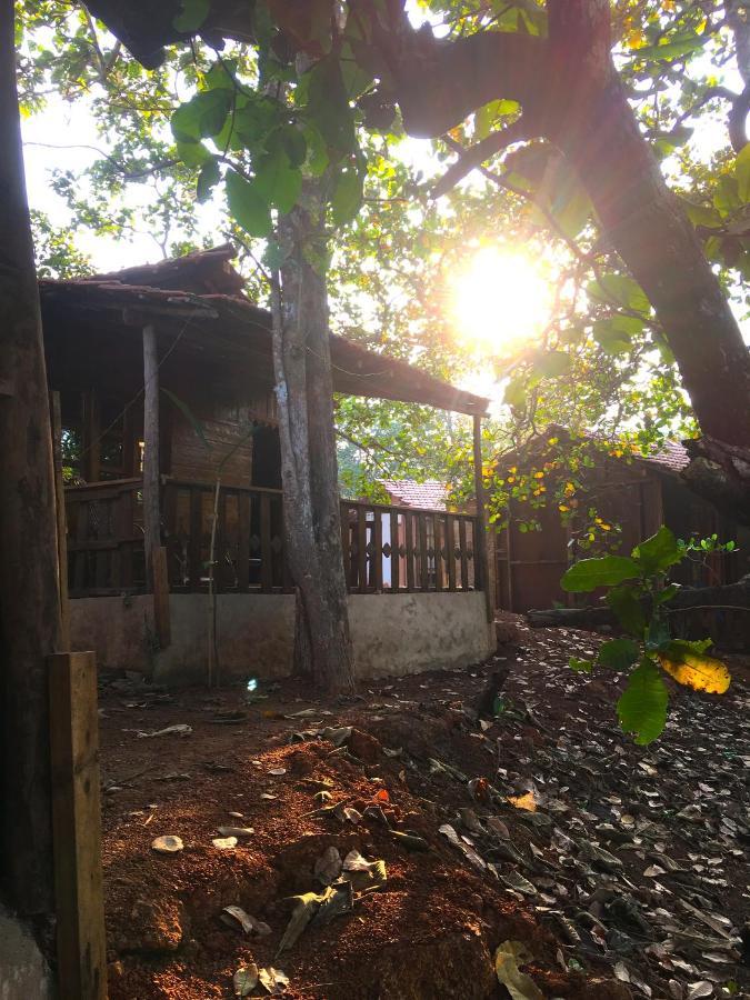 Galaxy Jungle Huts Hotell Agonda Eksteriør bilde