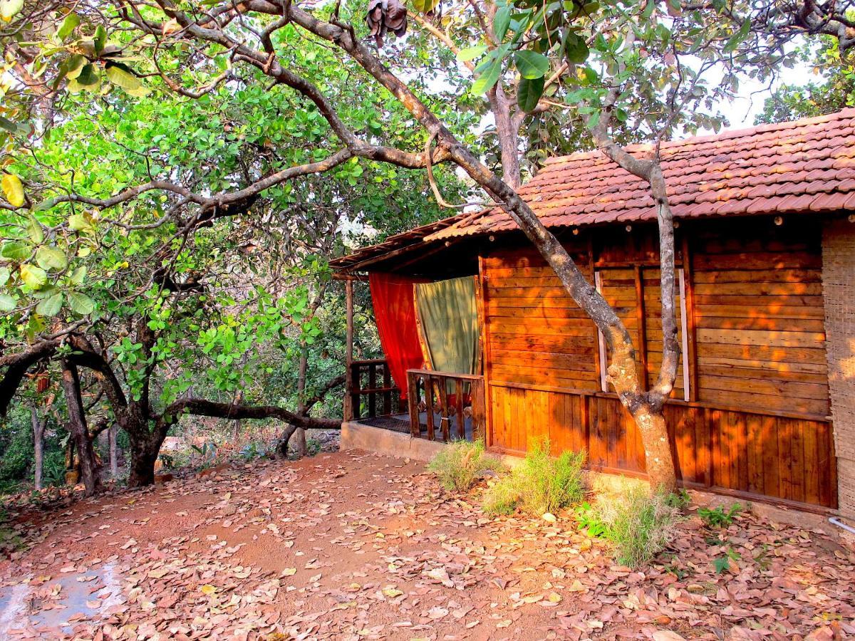 Galaxy Jungle Huts Hotell Agonda Eksteriør bilde