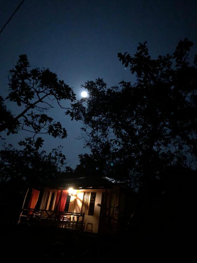 Galaxy Jungle Huts Hotell Agonda Eksteriør bilde