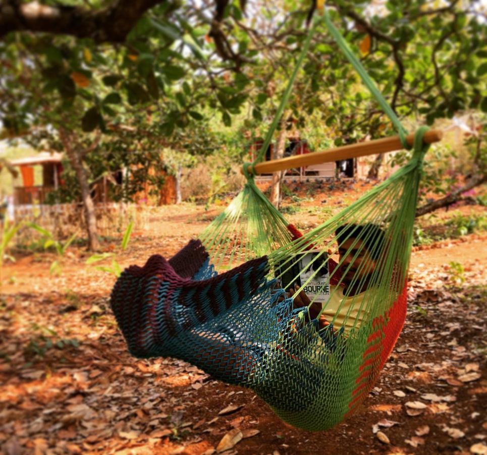 Galaxy Jungle Huts Hotell Agonda Eksteriør bilde