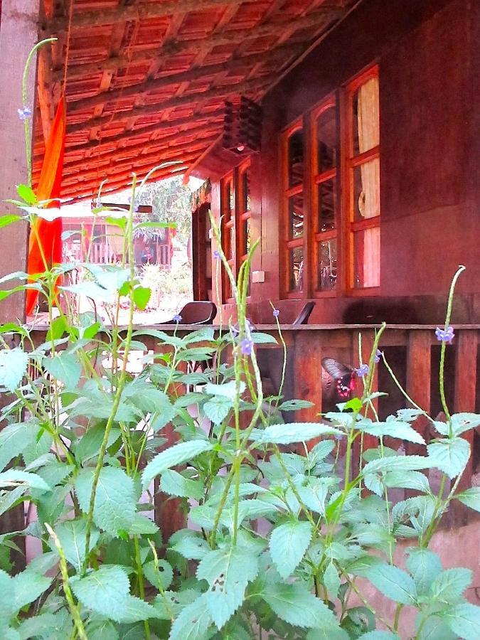 Galaxy Jungle Huts Hotell Agonda Eksteriør bilde