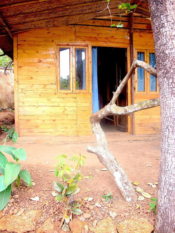 Galaxy Jungle Huts Hotell Agonda Eksteriør bilde