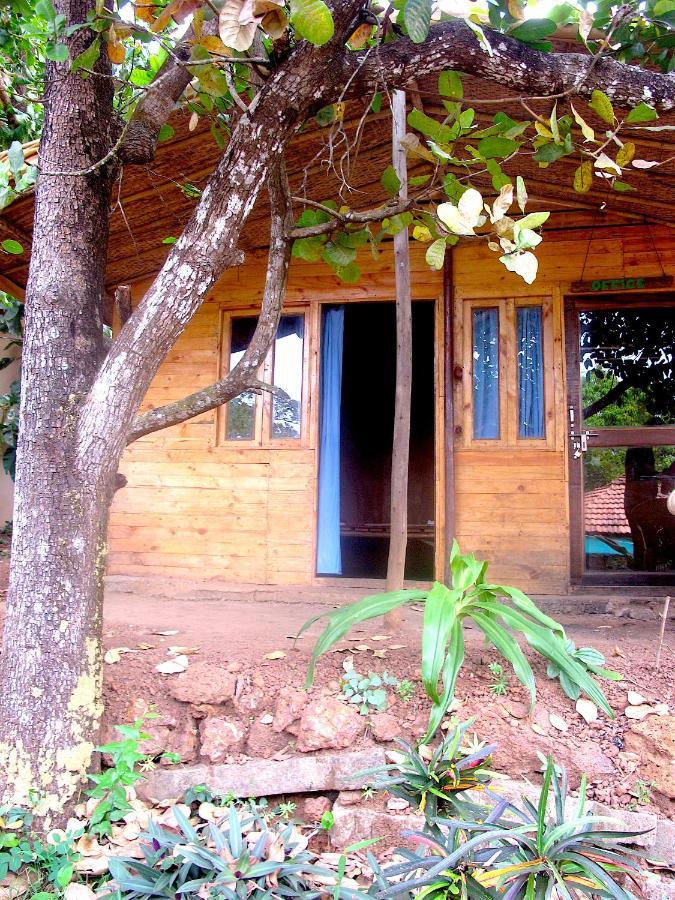Galaxy Jungle Huts Hotell Agonda Eksteriør bilde